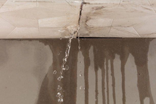 Professional Burst Pipe Cleanup technician working in McComb, MS